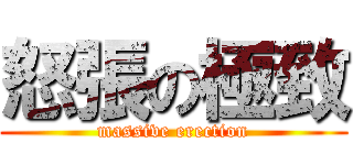 怒張の極致 (massive erection)