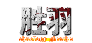 胜羽 (Technology Feathers)