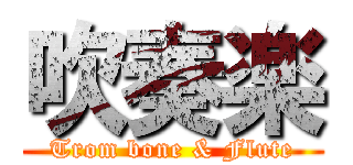 吹奏楽 (Trom bone & Flute)