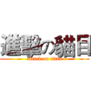 進擊の貓目 (attack on titan)