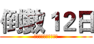 倒數１２日 (大松樹上誕生的小成政)