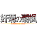 奸菊の菊枫 (attack on titan)