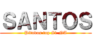 ＳＡＮＴＯＳ (Pitudos top #1 NA)