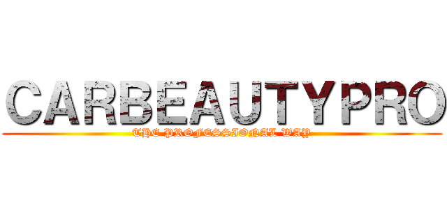 ＣＡＲＢＥＡＵＴＹＰＲＯ (THE PROFESSIONAL WAY)