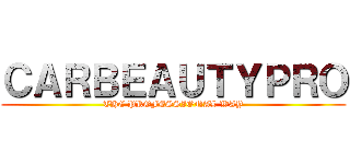 ＣＡＲＢＥＡＵＴＹＰＲＯ (THE PROFESSIONAL WAY)
