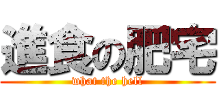 進食の肥宅 (what the hell)
