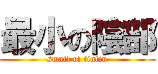 最小の陰部 (small of tintin)