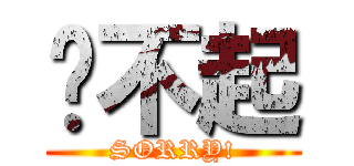 对不起 (SORRY!)