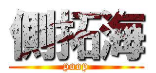 側拓海 (poop)