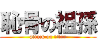 恥骨の祖孫 (attack on titan)