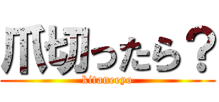 爪切ったら？ (kitaneeyo)
