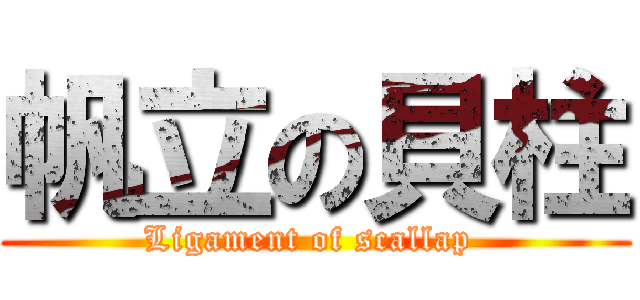 帆立の貝柱 (Ligament of scallap )