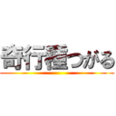 奇行種つがる ()