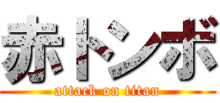 赤トンボ (attack on titan)