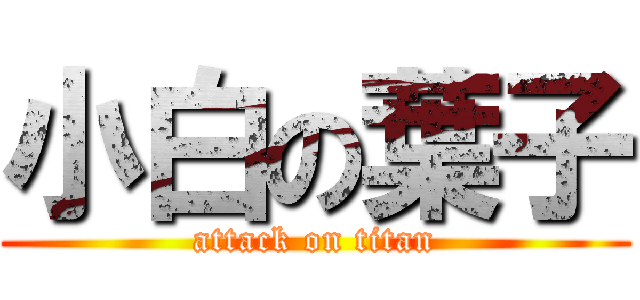 小白の葉子 (attack on titan)