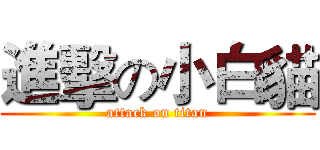 進擊の小白貓 (attack on titan)