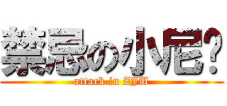 禁忌の小尼玛 (attack in ZJU)