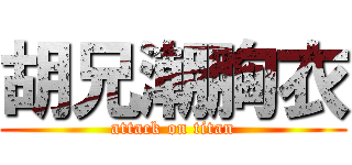 胡兄潮胸衣 (attack on titan)