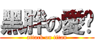 黑胖の愛你 (attack on titan)