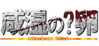 咸湿の帕卵 (attack on titan)