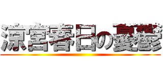涼宮春日の憂鬱 ()