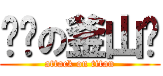 进击の釜山亲 (attack on titan)