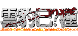 雲豹已絕種 (Neofelis nebulosa brachyura Disappeared)