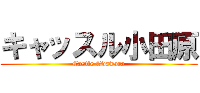キャッスル小田原 (Castle Odawara)