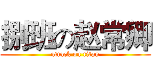 捌班の赵常卿 (attack on titan)