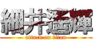 細井遙輝 (attack on titan)