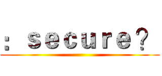 ：ｓｅｃｕｒｅ ？ ()