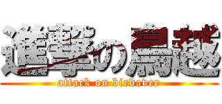 進撃の鳥越 (attack on birdover)