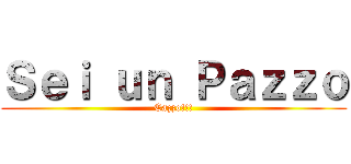 Ｓｅｉ ｕｎ Ｐａｚｚｏ (Cazzo!!!)