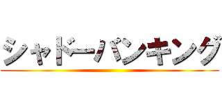 シャドーバンキング ()