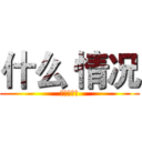 什么 情况 (这儿是什么)