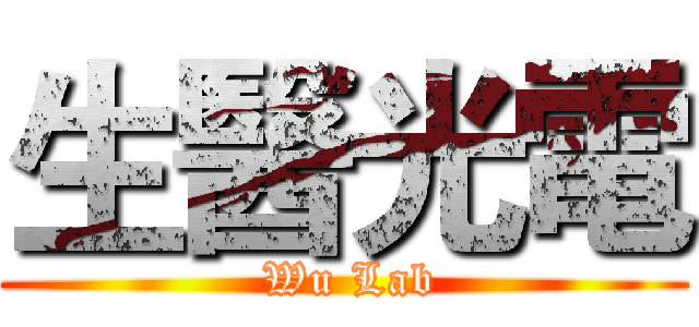 生醫光電 ( Wu Lab)