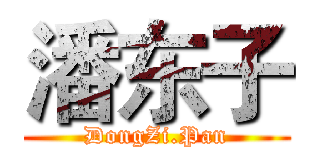 潘东子 (DongZi.Pan)