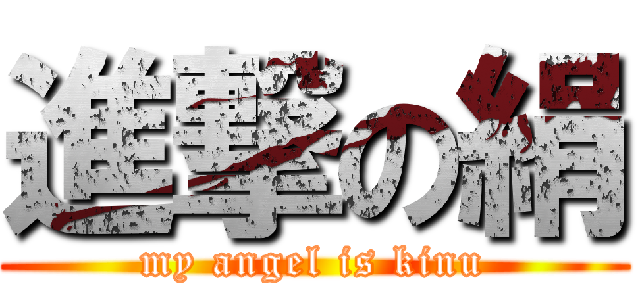 進撃の絹 (my angel is kinu)