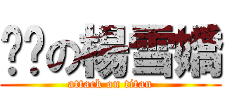 欢乐の楊雪嬌 (attack on titan)