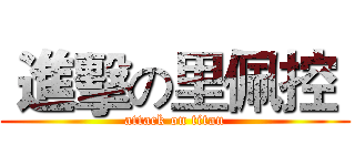 進擊の里佩控  (attack on titan)