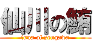 仙川の鮪 (tuna of sengawa)