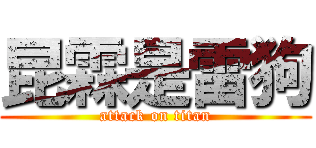 昆霖是雷狗 (attack on titan)