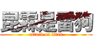 昆霖是雷狗 (attack on titan)