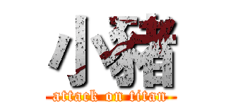 小豬 (attack on titan)