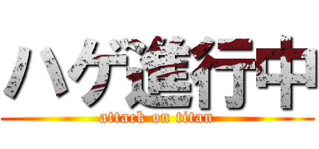 ハゲ進行中 (attack on titan)