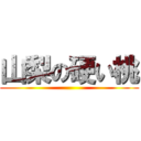 山梨の硬い桃 ()