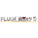 ＰＬＵＣＫ（勇気をッ！） ()
