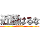 近藤はるな (こんどうはるな)