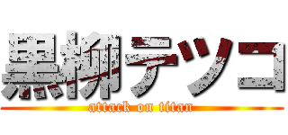 黒柳テツコ (attack on titan)