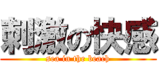 刺激の快感 (sea in the beach)